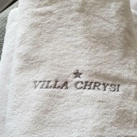 Chrysi